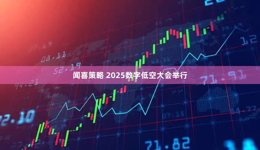 闻喜策略 2025数字低空大会举行